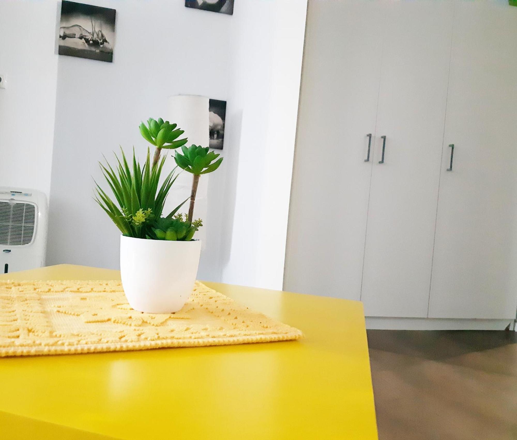 Buna Ziua Apartment Tonitza Nic. Kluż-Napoka Zewnętrze zdjęcie